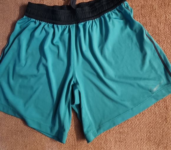 Nike Teal Dri-FIT Shorts - Picture 1 of 3